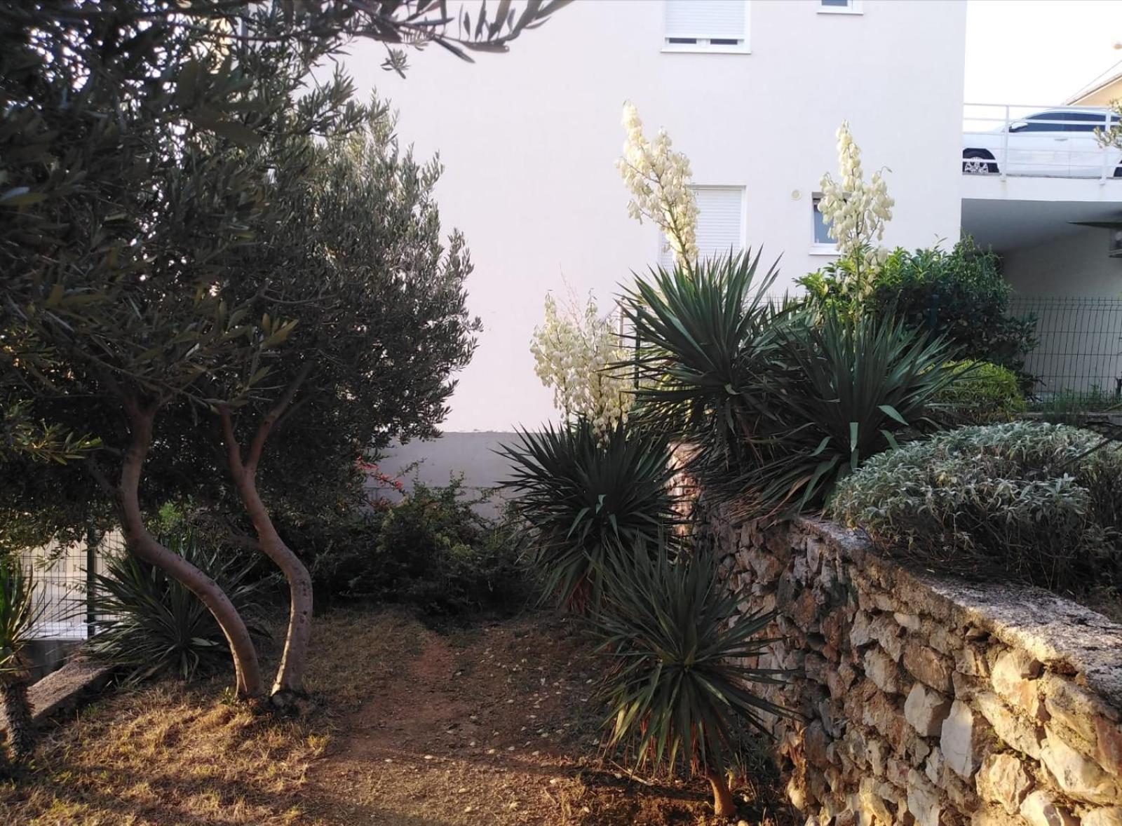 Apartment Franjo Senj (Lika-Senj) Exterior foto